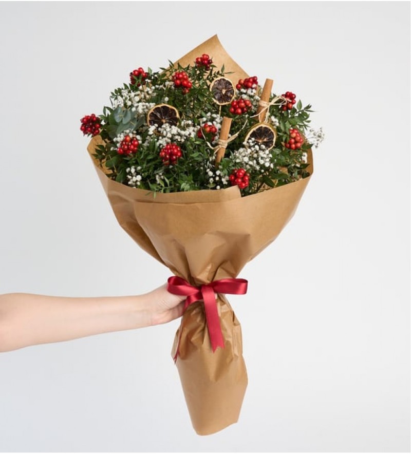 Kokina Yılbaşı Çiçeği çobanpüskülü