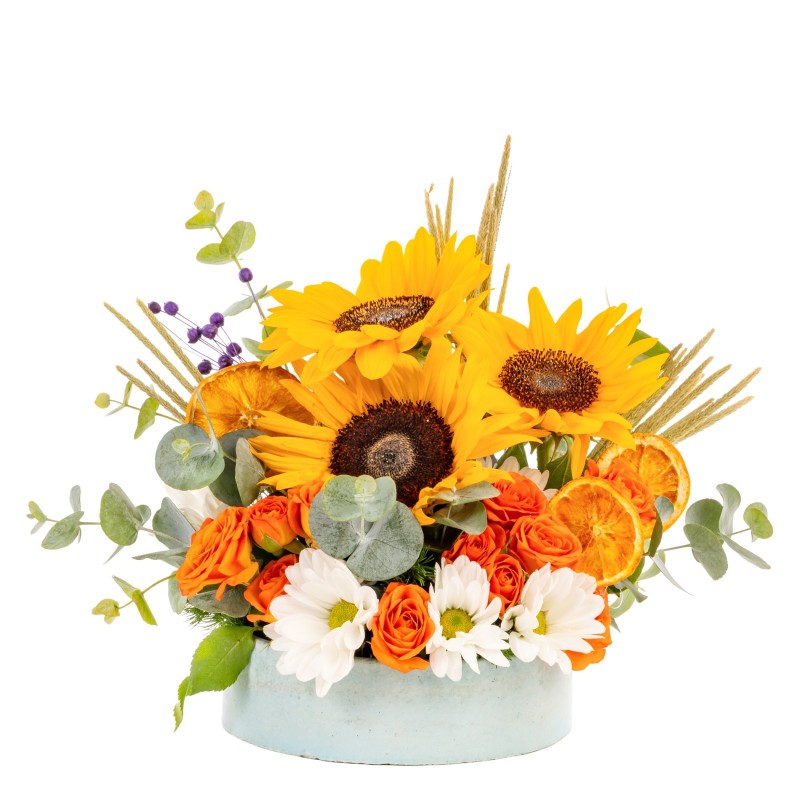 Hello Sunshine Ayçiçekleri