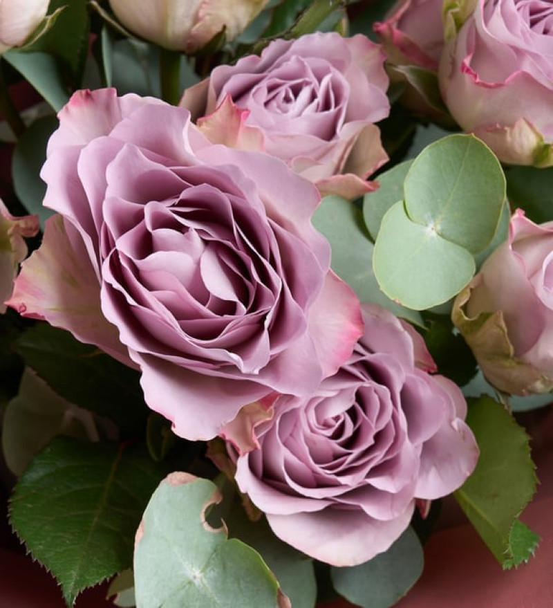 Koyu Somon Bukette 10 Lila Gül