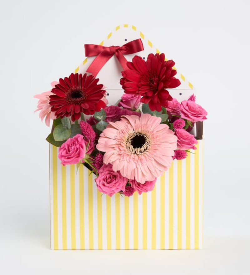 Sarı Zarfta Pembe Gül ve Kırmızı Pembe Gerberalar
