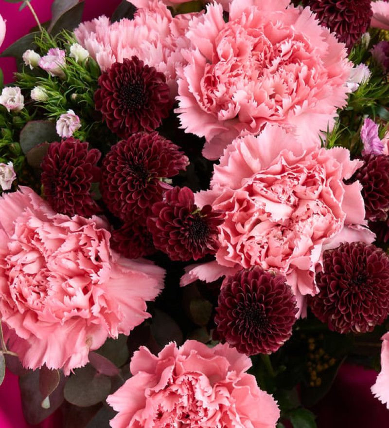 Lila Bukette Pembe Karanfiller ve Bordo Kasımpatı