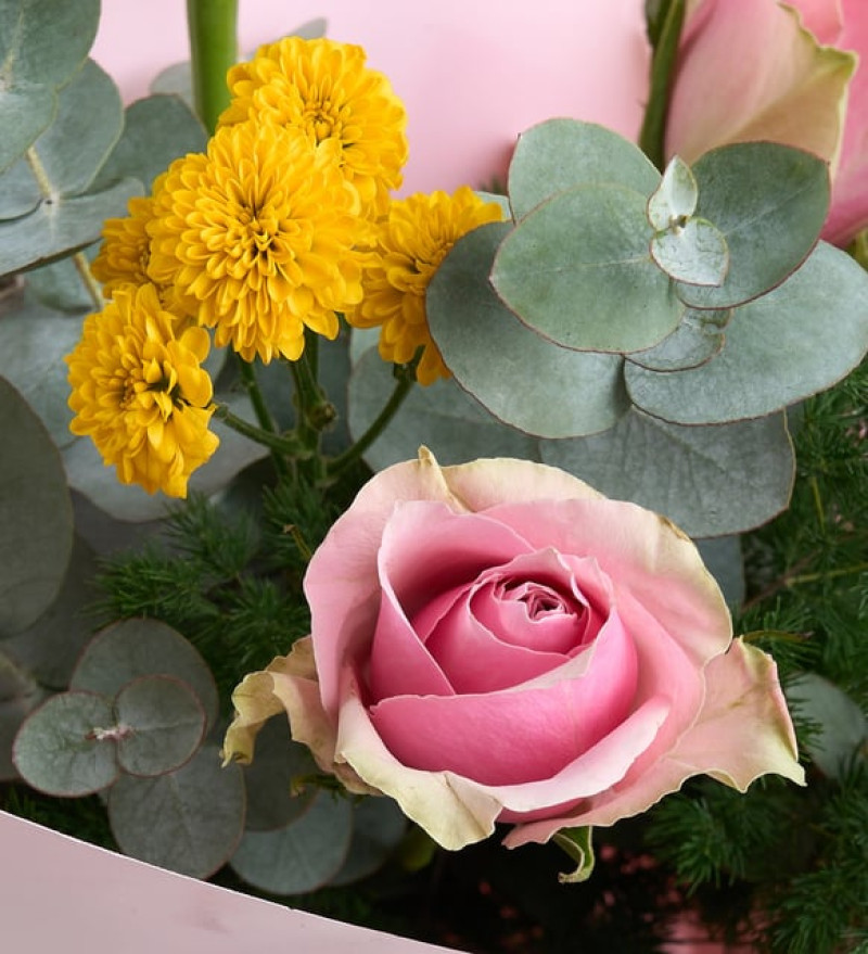 Pembe Bukette Pembe Güller ve Sarı Top Kasımpatı