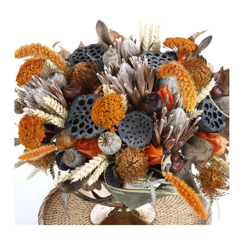 The Grasslands Dried Floral