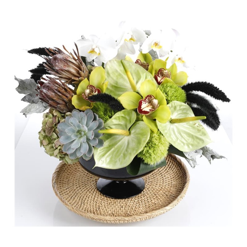 Golden Delicious Housearrangement