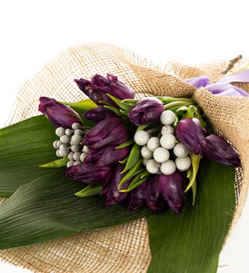 Bukette Mor Lale Aranjmanı