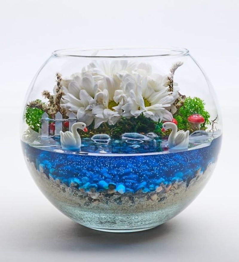 Cam Fanusta Beyaz Papatya ve Kuğulu Teraryum